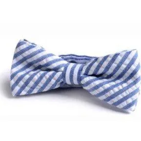 Appaman Bowtie K6BOW