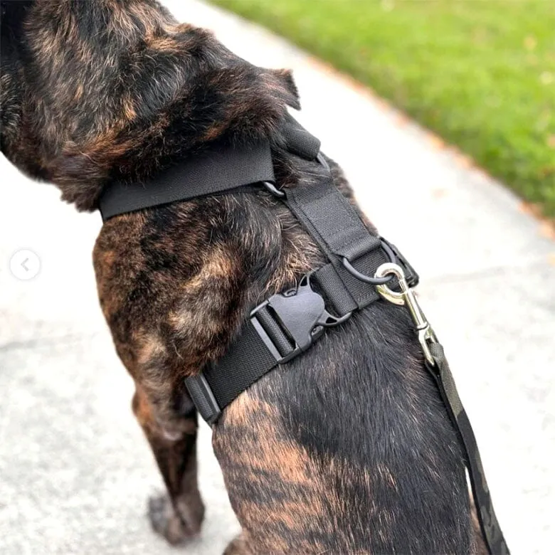 Recon Harness