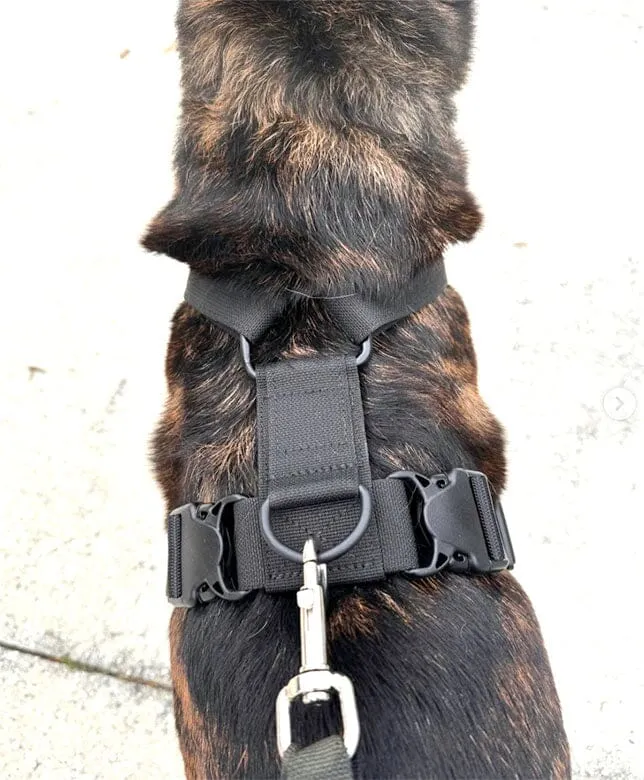 Recon Harness