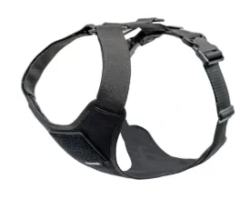 Recon Harness
